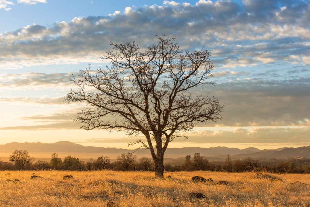 September Newsletter
