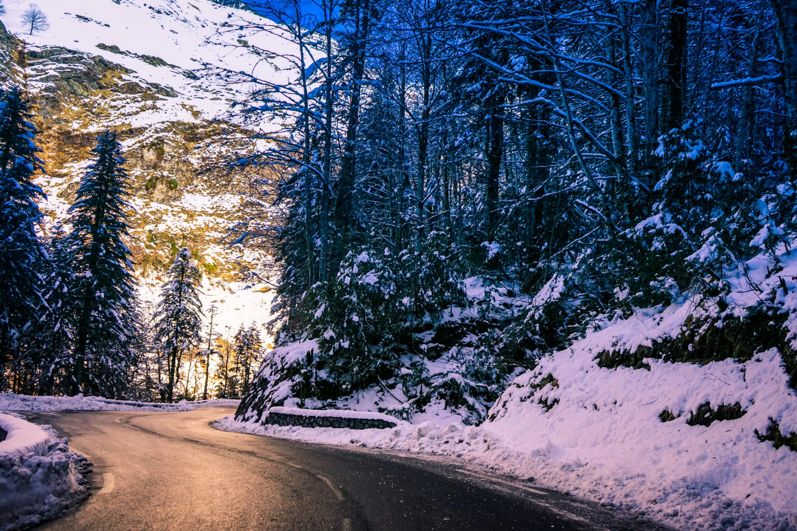 A peaceful winding road through a snowy forest with frosted trees under a clear winter sky.